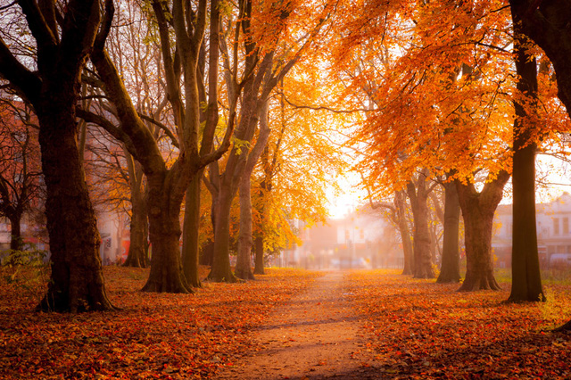 人生の秋を歩く