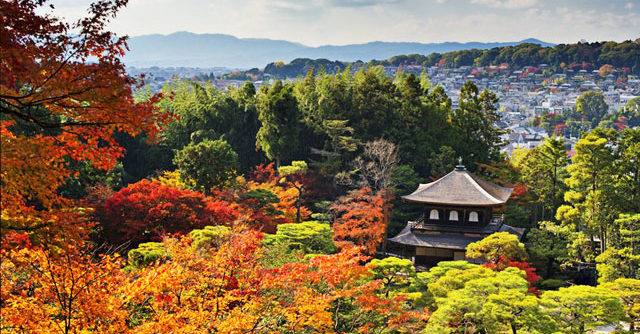 ginkaku-ji-in-autumn